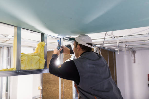 Best Commercial Insulation in Alpine, UT