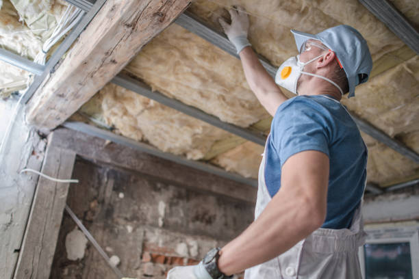Best Insulation Maintenance and Repair in Alpine, UT