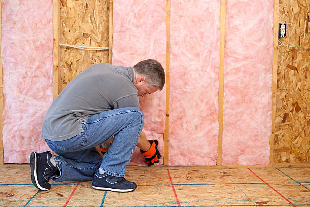 Best Specialized Insulation Services in Alpine, UT