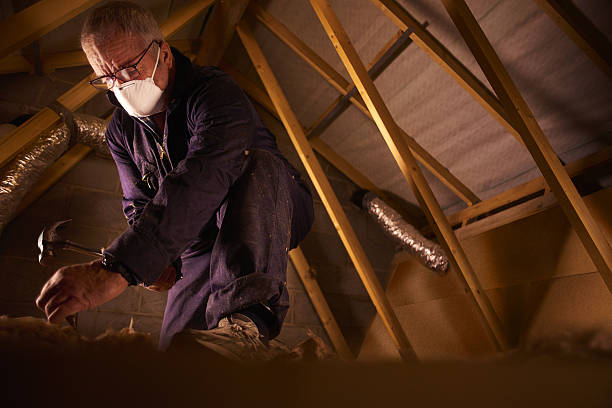 Best Eco-Friendly Insulation in Alpine, UT